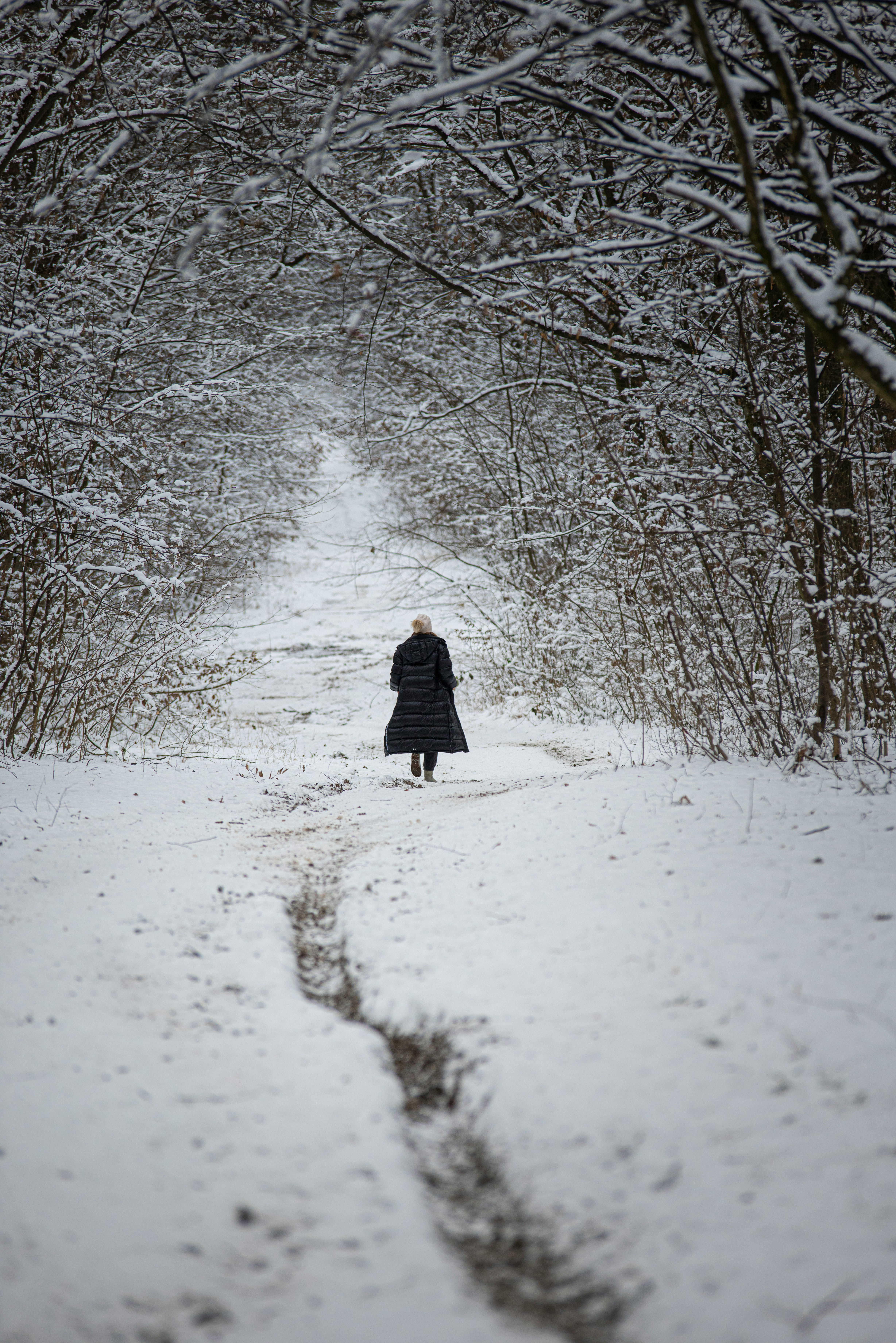 woman in black coat walking on snow covered pathway between bare trees during daytime